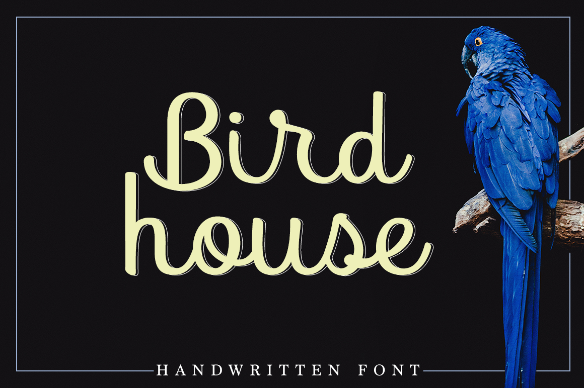 Bird House: A Designer’s Practical Font Review