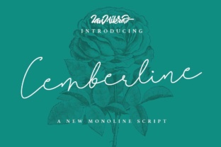 Cemberline Font: Elegant Script for Digital Campaigns