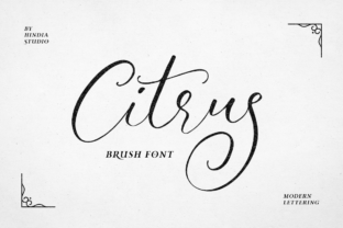 Citrus: A Handmade Script Font for Elegant Editorial Design