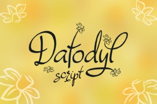 Dafodyl Font: Floral Script for Editorial Design