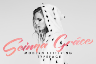 Elevate Your Brand with the Seinna Grace Font