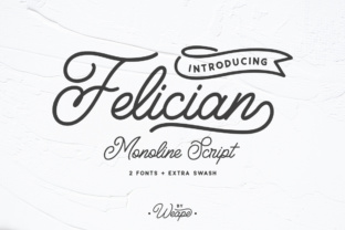 Felician: A Modern Script Font That Elevates Web Design