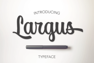 Largus: A Designer’s Take on Real-World Use