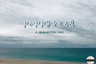 Poppy Seed: A Designer’s Take on Modern Script