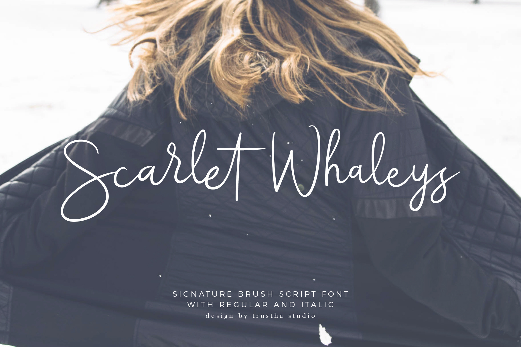 Scarlet Whaleys Font for Digital Branding