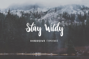 Stay Wildy: A Designer’s Review for Real Projects